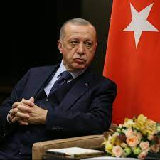 أنور قرقاش يؤكد أن زيارة أردوغان إلى الإمارات سوف تؤدي إلى فتح صفحة جديدة