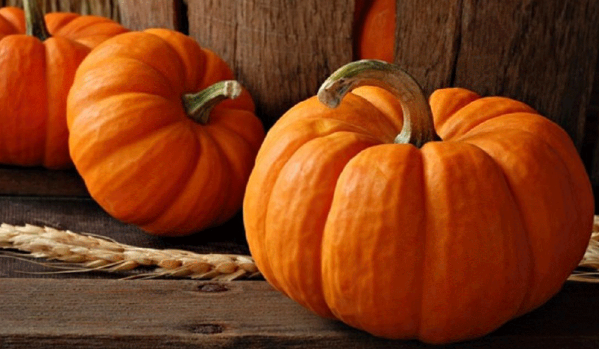 أهمية بذور اليقطين للجسم أبرزها لأمراض الكلى والبروستاتا