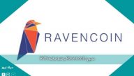 مشروع Ravencoin وعملتها الرقمية RVN