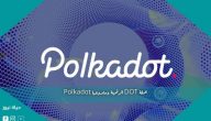 عملة DOT الرقمية ومشروعها Polkadot