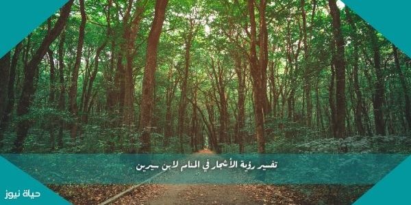 تفسير رؤية الأشجار في المنام لابن سيرين