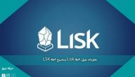 معلومات حول عملة Lisk ومشروع عملة LSK