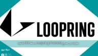 معلومات عن مشروع Loopring Protocol و عملة LRC المشفرة