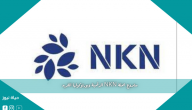 مشروع عملة NKN الرقمية وبورتوكولها الفريد