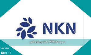 مشروع عملة NKN الرقمية وبورتوكولها الفريد