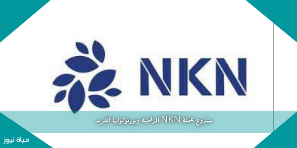 مشروع عملة NKN الرقمية وبورتوكولها الفريد