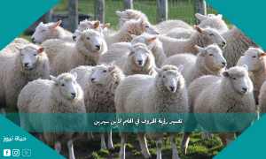 تفسير رؤية الخروف في الحلم لابن سيرين
