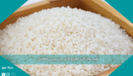 تفسير حلم الأرز المطبوخ في المنام لابن سيرين بالتفصيل