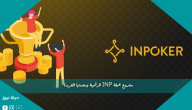 مشروع عملة INP الرقمية ومصنتها الفريدة