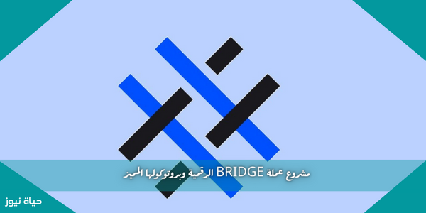 مشروع عملة BRIDGE الرقمية وبروتوكولها المميز