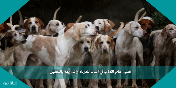 تفسير حلم الكلاب في المنام للعزباء والمتزوجة بالتفصيل