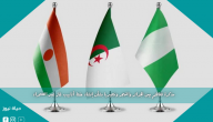مذكرة تفاهم بين الجزائر والنيجر ونيجيريا بشأن إنشاء خط أنابيب غاز عبر الصحراء