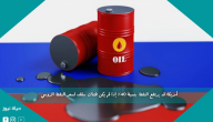 أمريكا: قد يرتفع النفط بنسبة 40٪ إذا لم يكن هناك سقف لسعر النفط الروسي
