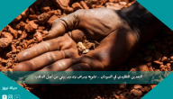 التعدين التقليدي في السودان .. تشويه ومرض وتدمير بيئي من أجل الذهب