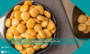 فوائد الترمس المر للجسم واثاره الجانبية