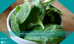 فوائد السبانخ وقيمته الغذائية ودوره في تعزيز الشعر والبشرة