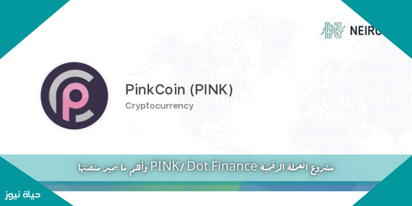 مشروع العملة الرقمية PINK/ Dot.Finance وأهم ما يميز منصتها