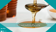 فوائد مزيج القرفة والعسل لجسم الإنسان