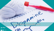 ما هو مدى تأثير الدوبامين على الجهاز العصبي؟