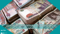 من يقف وراء التخفيض المستمر لقيمة الجنيه المصري الحكومة أم صندوق النقد الدولي؟