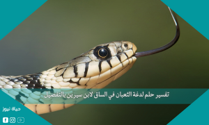تفسير حلم لدغة الثعبان في الساق لابن سيرين بالتفصيل