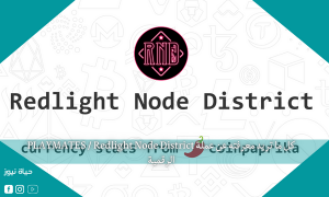 كل ما تريد معرفته عن عملة PLAYMATES / Redlight Node District الرقمية