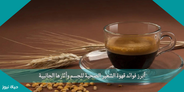 أبرز فوائد قهوة الشعير الصحية للجسم وأثارها الجانبية