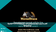 أهم ما يميز عملة HorseDrace الرقمية ومشروعها