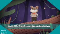 أهم أهداف مشروع عملة CTT / Crazy Treasure الرقمية