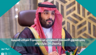 يعلن صندوق الاستثمار السعودي عن تأسيس 5 شركات إقليمية برأسمال 24 مليار دولار