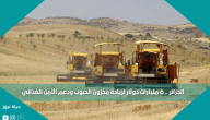 الجزائر .. 6 مليارات دولار لزيادة مخزون الحبوب ودعم الأمن الغذائي