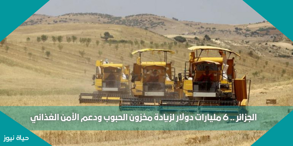 الجزائر .. 6 مليارات دولار لزيادة مخزون الحبوب ودعم الأمن الغذائي