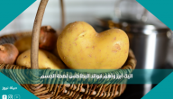 اليك أبرز وأهم فوائد البطاطس لصحة الجسم