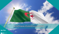 الجزائر تتقدم رسميا للانضمام إلى مجموعة البريكس