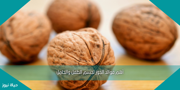 أهم فوائد الجوز لجسم الطفل والحامل