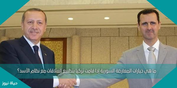 ما هي خيارات المعارضة السورية إذا قامت تركيا بتطبيع العلاقات مع نظام الأسد؟