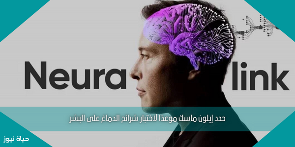 حدد إيلون ماسك موعدًا لاختبار شرائح الدماغ على البشر