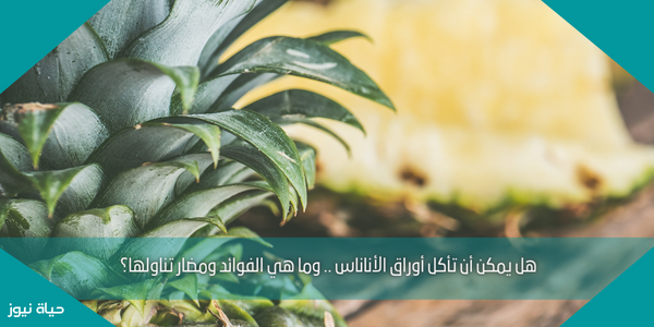 هل يمكن أن تأكل أوراق الأناناس .. وما هي الفوائد ومضار تناولها؟