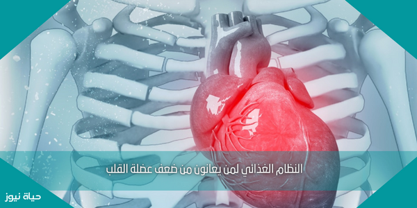 النظام الغذائي لمن يعانون من ضعف عضلة القلب