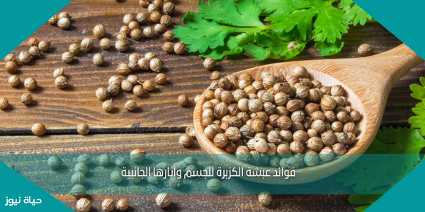 فوائد عشبة الكزبرة للجسم وآثارها الجانبية