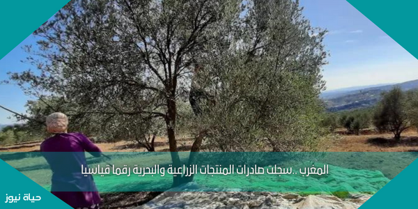 المغرب ..سجلت صادرات المنتجات الزراعية والبحرية رقما قياسيا