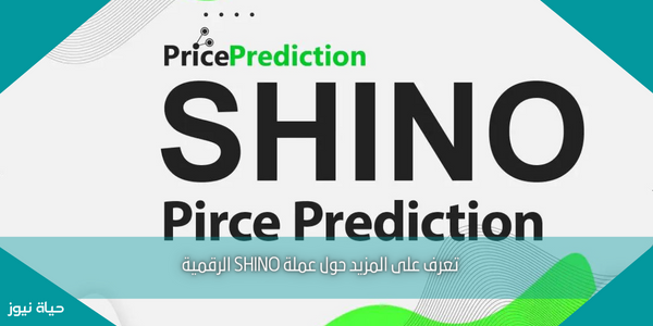 تعرف على المزيد حول عملة SHINO الرقمية