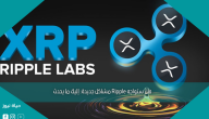 هل ستواجه Ripple مشاكل جديدة: إليك ما يحدث