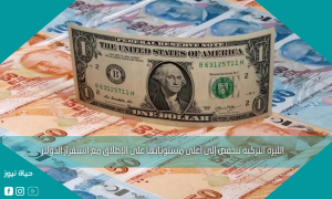 الليرة التركية تنخفض إلى أعلى مستوياتها على الإطلاق مع استقرار الدولار