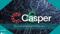مشروع عملة CSPR الرقمية وهل هي حلال أم حرام؟