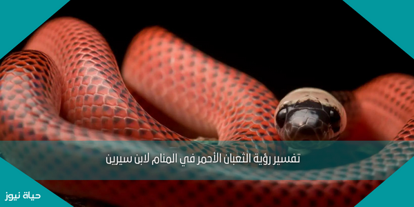 تفسير رؤية الثعبان الأحمر في المنام لابن سيرين