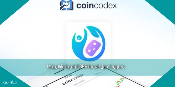 معلومات حول العملة BRR الرقمية وأهميتها