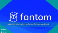 يقدم مؤسس Fantom Blockchain مشروع دفع جديد للعملات المشفرة