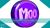 أهم المعلومات حول مشروع عملة CeoMoo الرقمية
