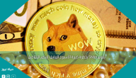 يقوم Shiba بخطوة كبيرة الأسبوع المقبل: إليكم التفاصيل